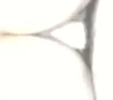 hot sex 1733502443