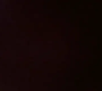 pussy eating 1733502440