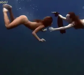 sea adventures on tenerife underwater 1733502436